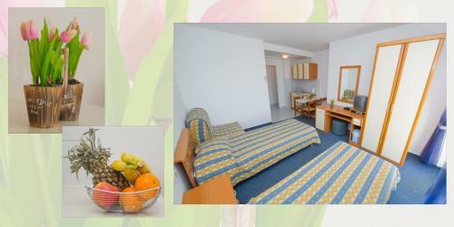 Hostal Apartments And Rooms Villa Javor