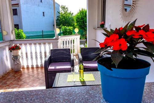 Kaja Apartments