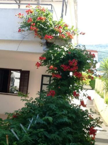 Beachfront Apartments Tamaris