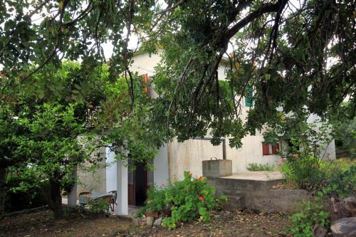 Apartment Zavala 593a