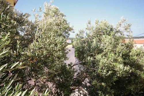 Hostal Apartment Barbat 5005a
