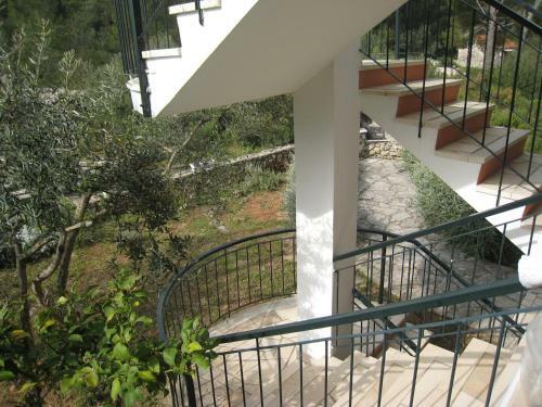 Apartments Ana