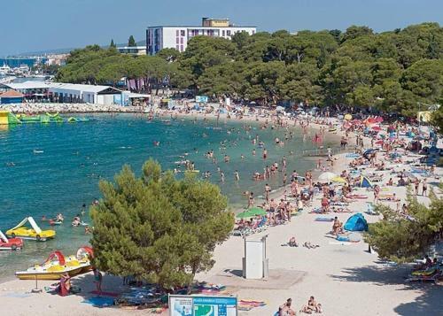 Apartments Rada