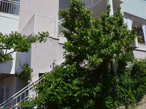 Apartments Prgomet