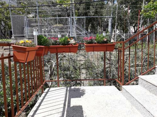Hostal Apartments Renata