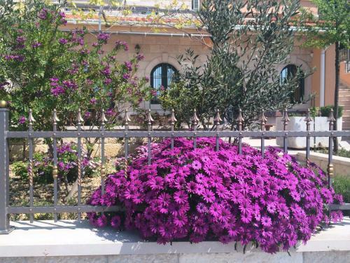 Apartamentos Villa Marija