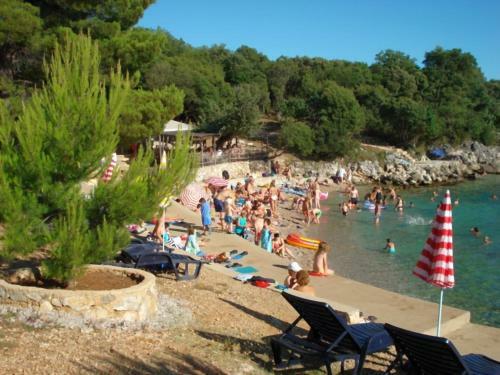 Apartments Posavec