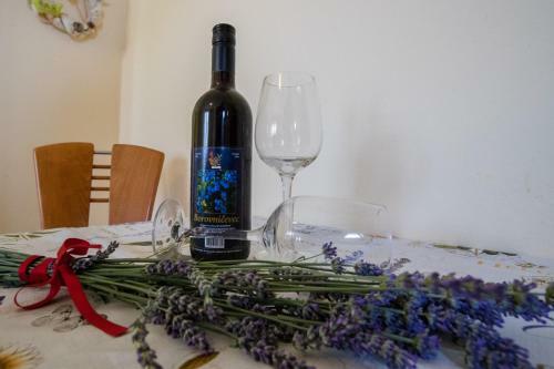 Apartment In Supetarska Draga 16063