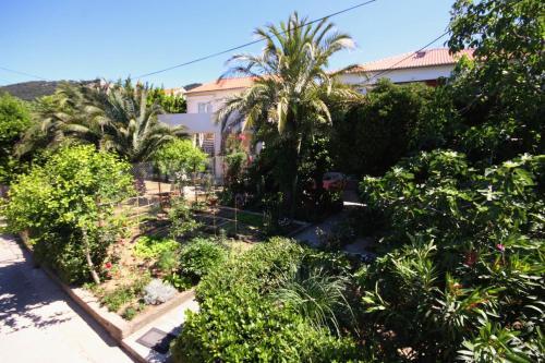 Apartment Barbat 4978a