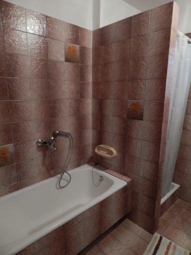 Apartment Ribaric