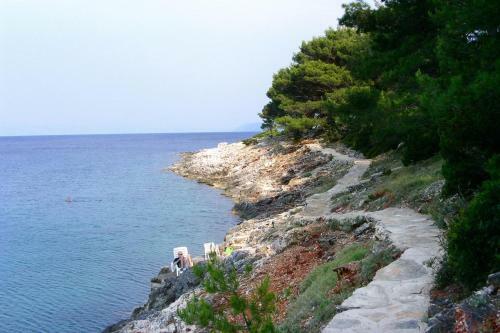 Apartments By The Sea Mudri Dolac (hvar) - 5694