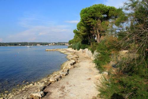 Hostal Studio Dajla 6935a