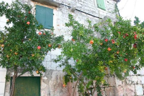 Apartamentos Villa Mimi