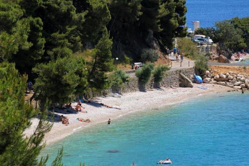 Apartment Podgora 6682a