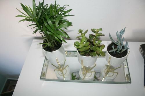 Apartamentos Villa Marinesa