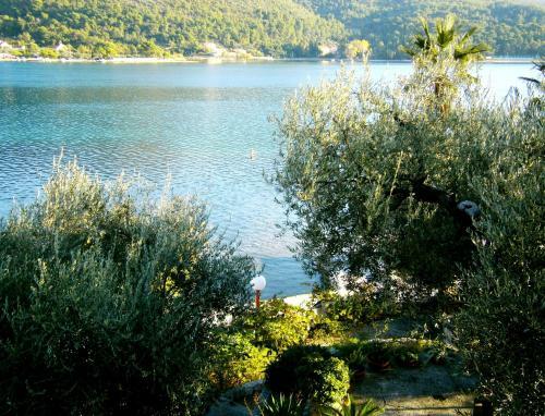 Hostal Villa Adria