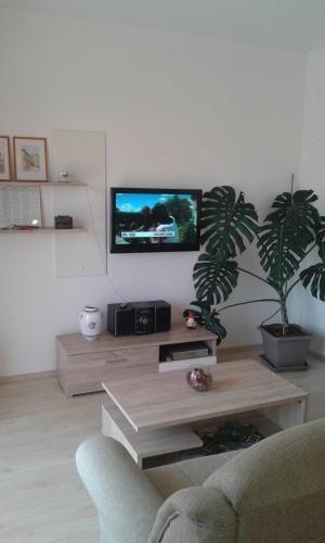 Apartments Robi