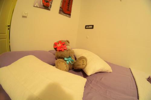 Apartment Arpa