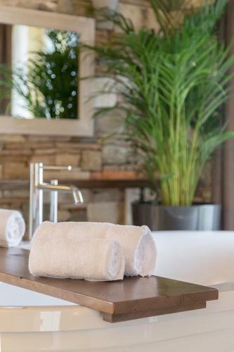 Hostal Guest House Stara Sola Korte