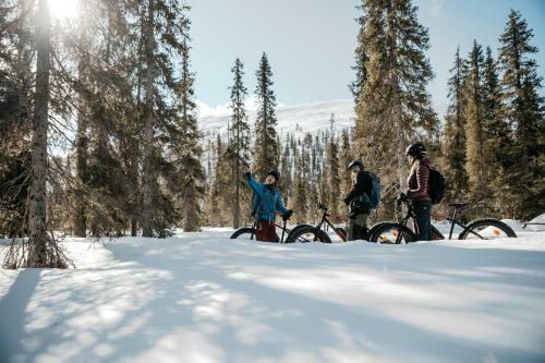 Lapland Hotels Luostotunturi & Amethyst Spa
