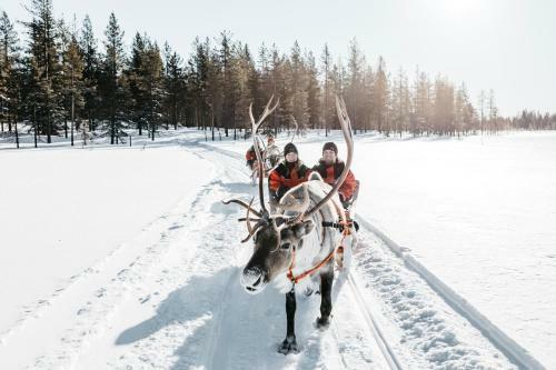 Lapland Hotels Luostotunturi & Amethyst Spa