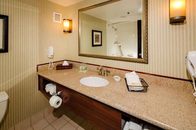 Hotel Holiday Inn Burbank-media Center