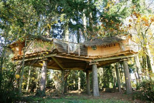 Bed & Breakfast Insolite Dans Les Arbres Les Ormes, Epiniac
