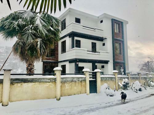 Hostal Holiday House Green Cape Batumi