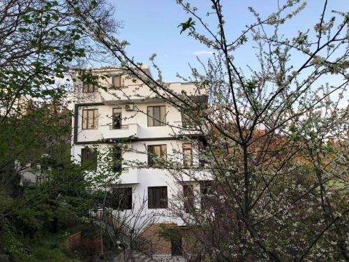 Hostal Holiday House Green Cape Batumi