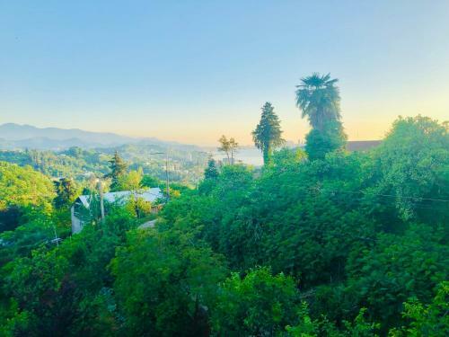 Hostal Holiday House Green Cape Batumi