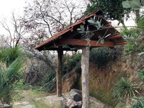 Hostal Holiday House Green Cape Batumi