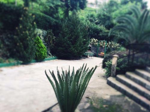 Hostal Holiday House Green Cape Batumi