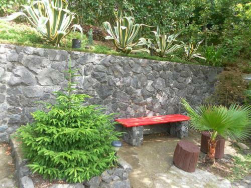 Hostal Holiday House Green Cape Batumi