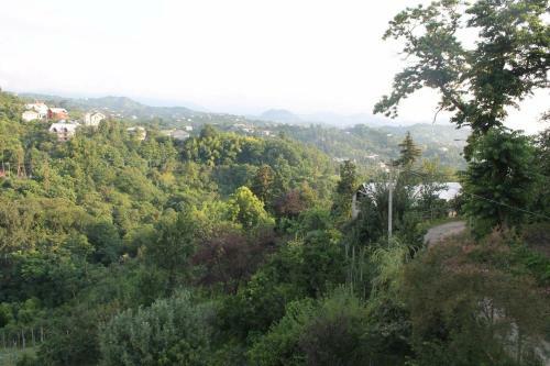 Hostal Holiday House Green Cape Batumi