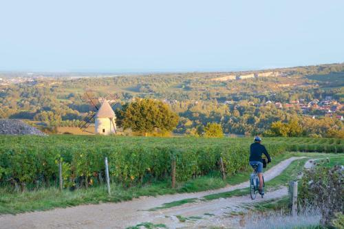 Hotel Premi�re Classe Beaune