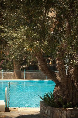 Apartamento Porto Koufo Resort