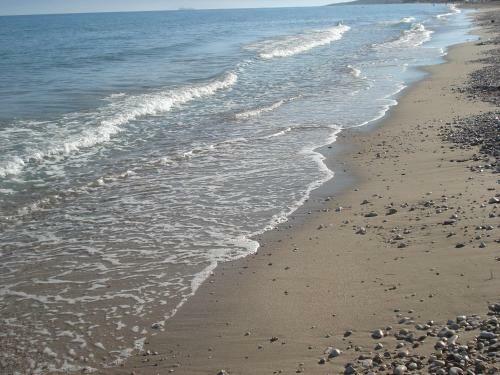 Harrisma Apartments