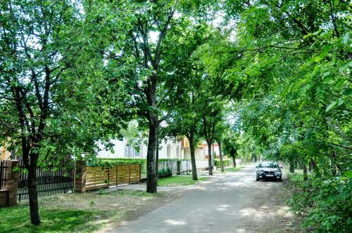 Green Garden Apartman