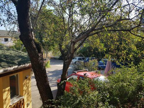 Bed & Breakfast Oswaldo Panzi�
