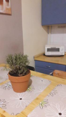 K�roly Apartments