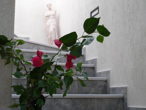 Aparthotel Hotel Ippocampos Studios