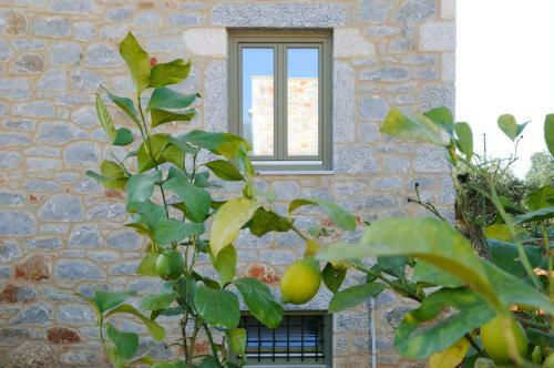 Nikoloudi Estate