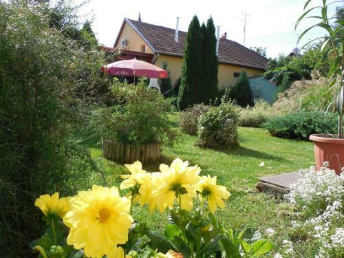 Enzo Apartman Gyula