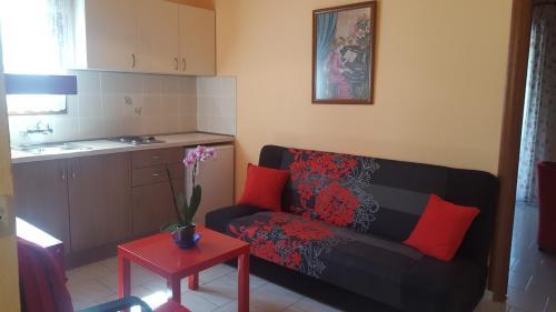 Lola Apartments