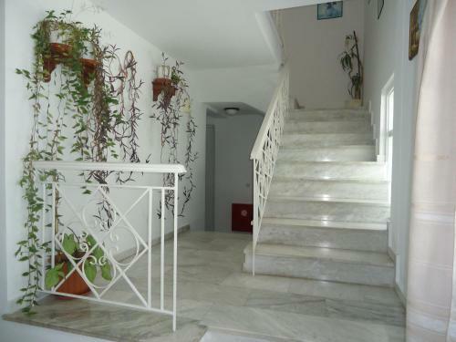 Zorbas Hotel & Studios