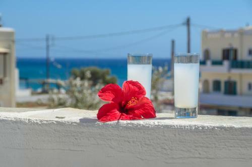 Aparthotel Hotel Francesca