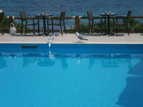 Apartamento Barbagiannis House