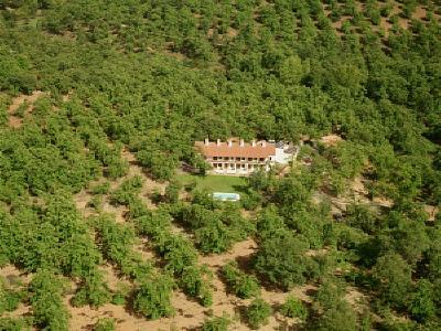 Apartamentos Finca La Media Legua