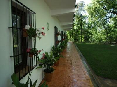 Apartamentos Finca La Media Legua