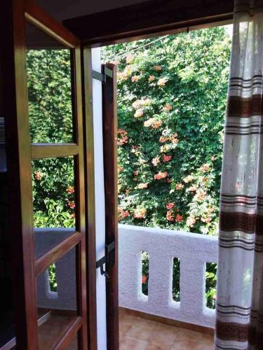 Apartamento Eleftheria Studios